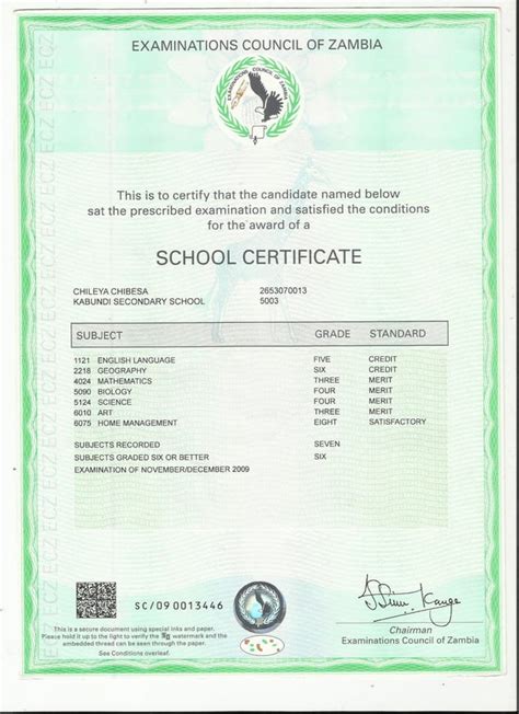 e statement of results|2020 SCHOOL CERTIFICATE (G12) EXAMINATION .